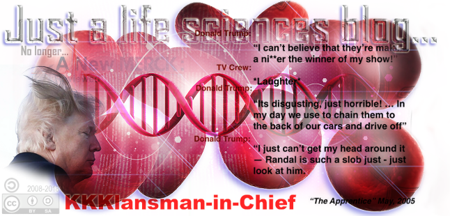 Life-Trump-KKK-2005-Apprentice-New-Mast