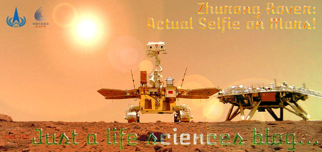 Just A Life Sciences Blog...