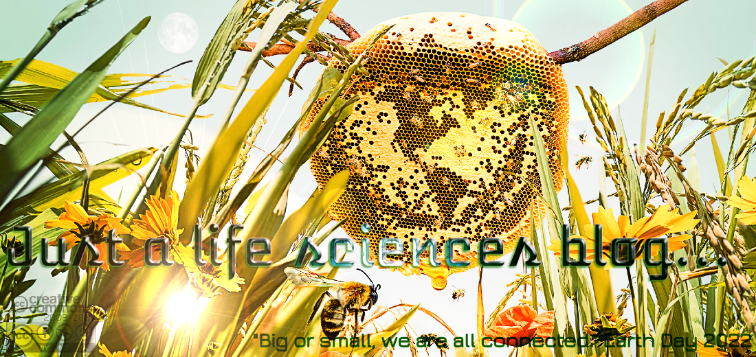 Just A Life Sciences Blog...